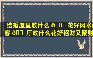 结婚屋里放什么 🐋 花好风水(客 🐠 厅放什么花好招财又聚财呢)
